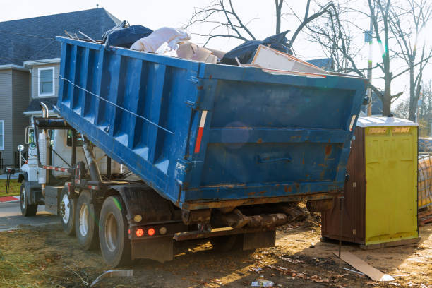 Yard Cleanup Services in Buckhall, VA